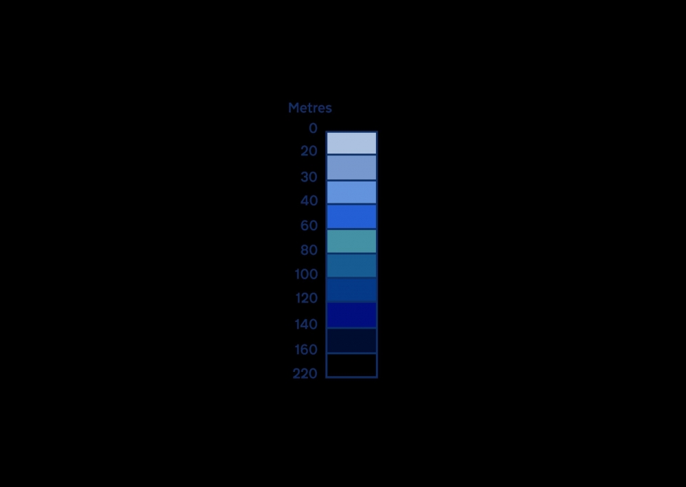 Depth Sounding (2023). Digital print on silk.